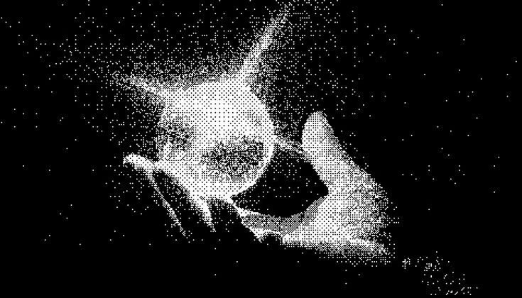 Mãos segurando uma semente de luz, em meia-tinta