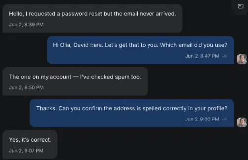 Conversa atendida pelo chatbot